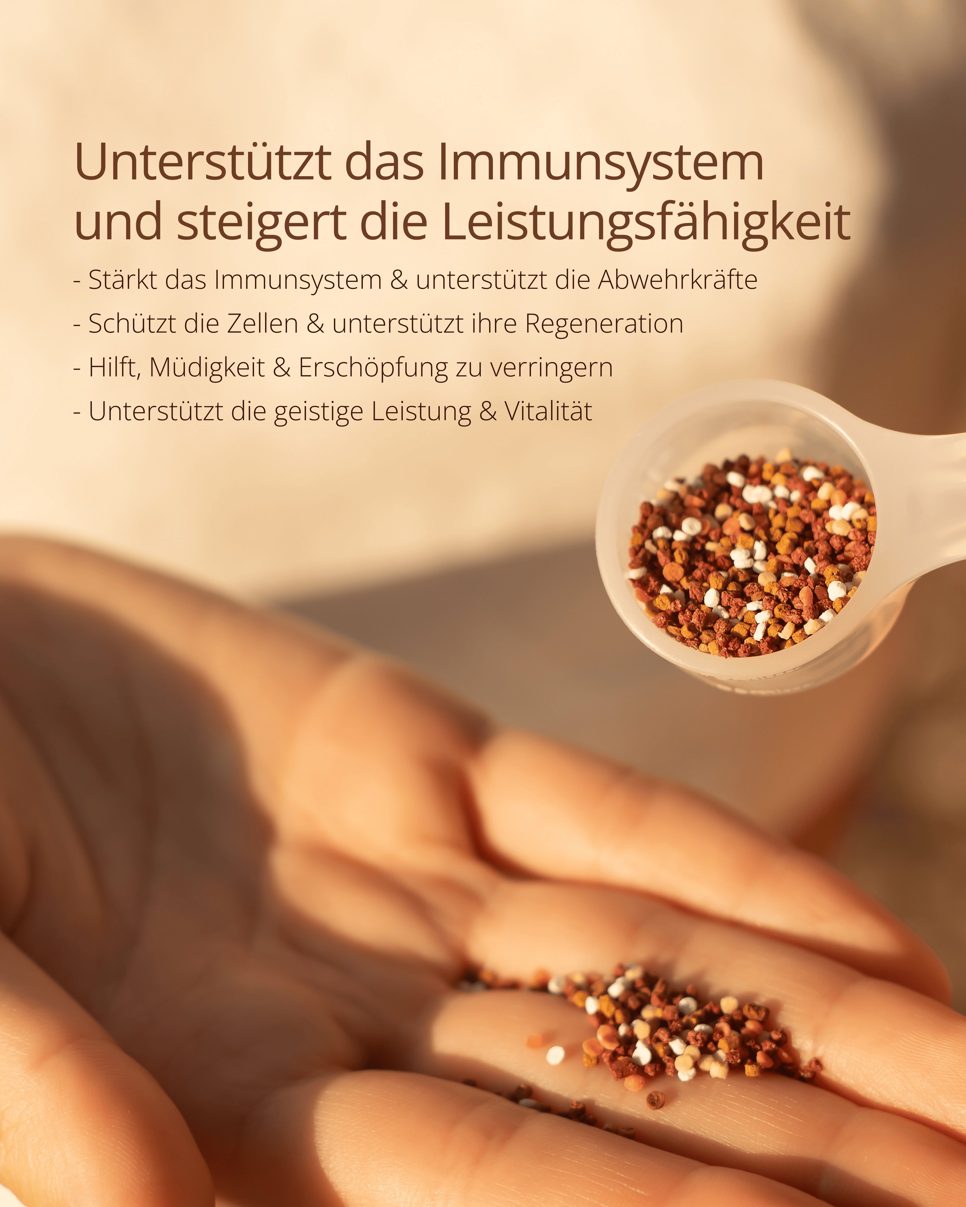 rundum geschützt