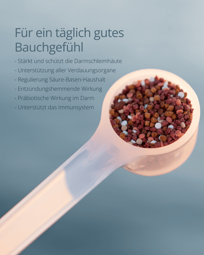 darmglück