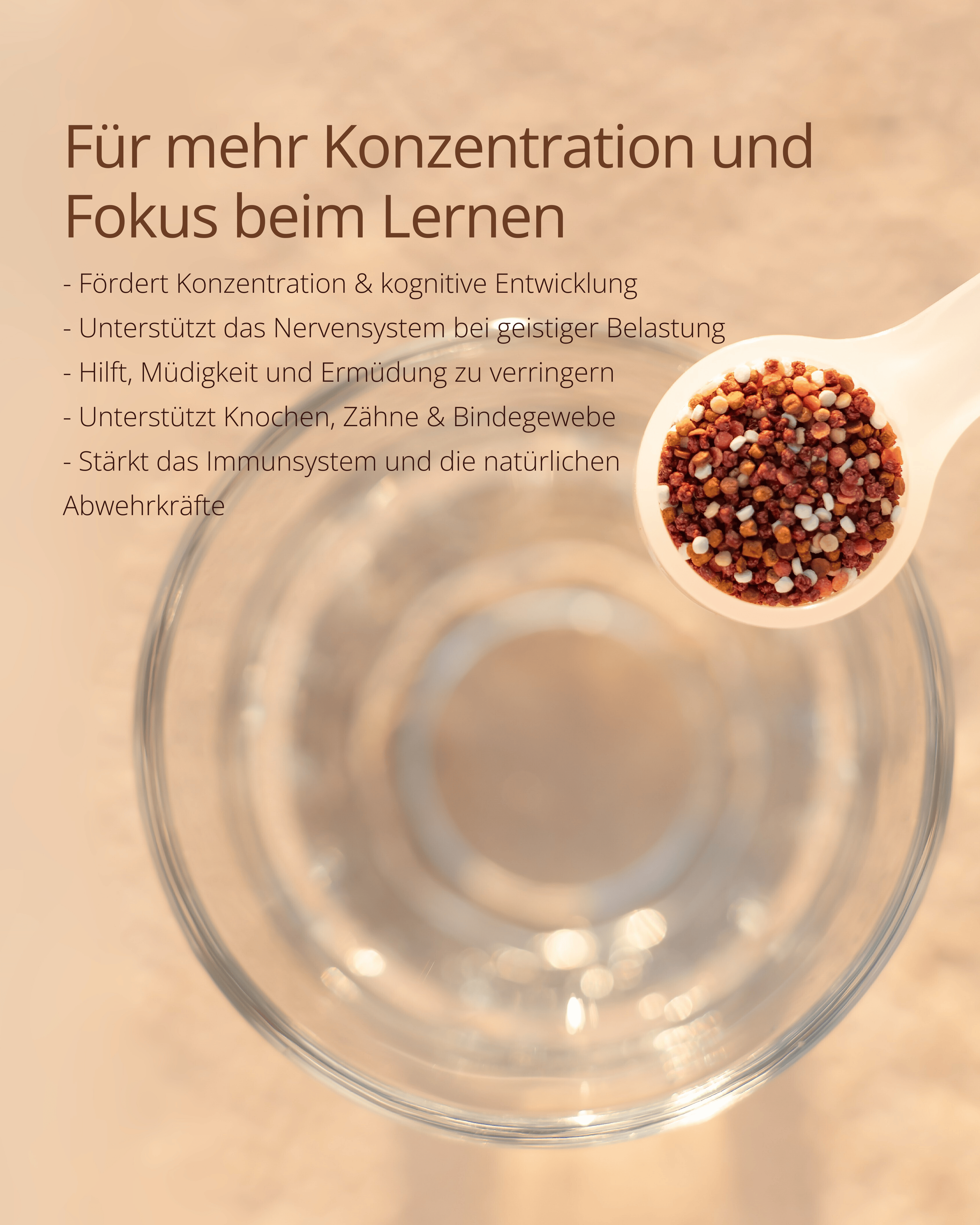 schulstark