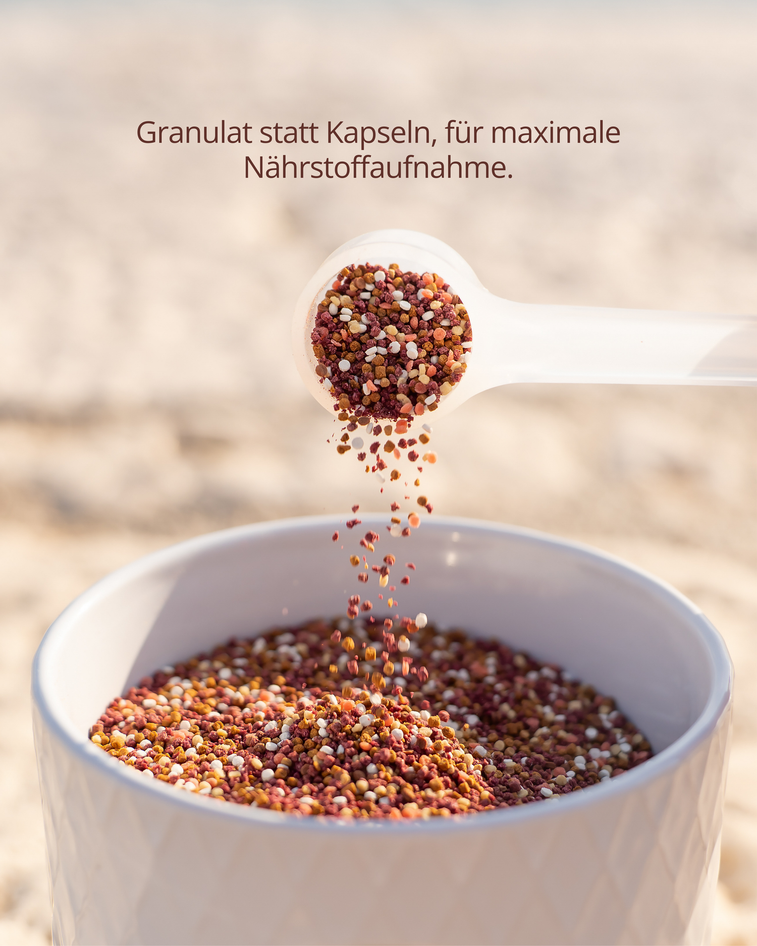 schulstark