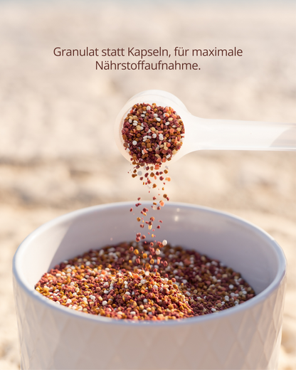 schulstark