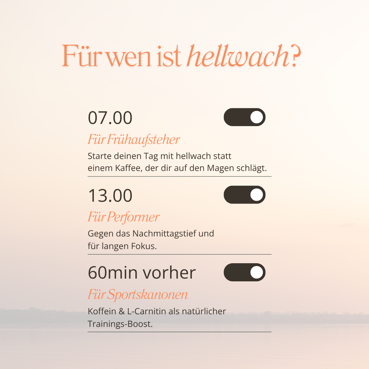 hellwach Sticks