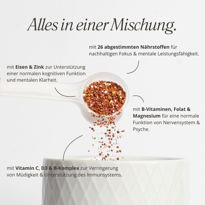 schulstark